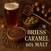 Briess Caramel 60L Malt 1 oz
