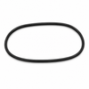 Replacement O-Ring, fits SP Monsterbrite Plate Filter