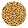 Malteurop 2-Row (2L) 10 LB