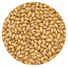 Malteurop Pilsner (1.8L) 55 LB