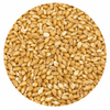 Avangard Malz Wheat Malt 10 lb