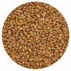 Briess Caramel 10L Malt 1 lb