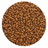 Briess Caramel 80L Malt 50 lb