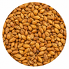 Briess Caramel 20L Malt 10 lb