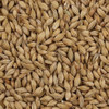 Briess 2-Row Pale Ale Malt 1 lb