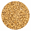 Briess 2-Row Pale Ale Malt 50 lb