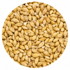 Briess 2-Row Brewers Malt 50 lb