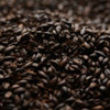 Briess Black Malt 10 lb