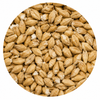 Briess Pilsen Malt 10 lb