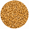 Gambrinus Honey Malt 55 lb Crushed