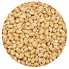 Briess Carapils Malt 1 lb
