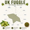 UK Fuggle Hop Pellets 1 lb