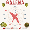 Galena Hop Pellets 1 oz
