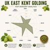 UK Kent Goldings Hop Pellets 1 lb