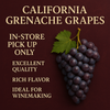 California Grenache Grapes