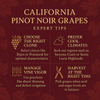 California Pinot Noir Grapes
