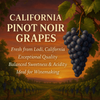 California Pinot Noir Grapes