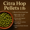 Citra Hop Pellets 1 lb