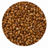 Briess Caramel Munich 60L Malt 50 lb