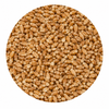Briess Torrified Red Wheat 10 lb