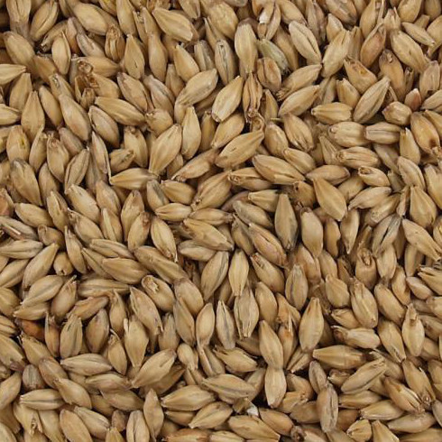 Briess Pale Ale Malt 2Row 10 lb