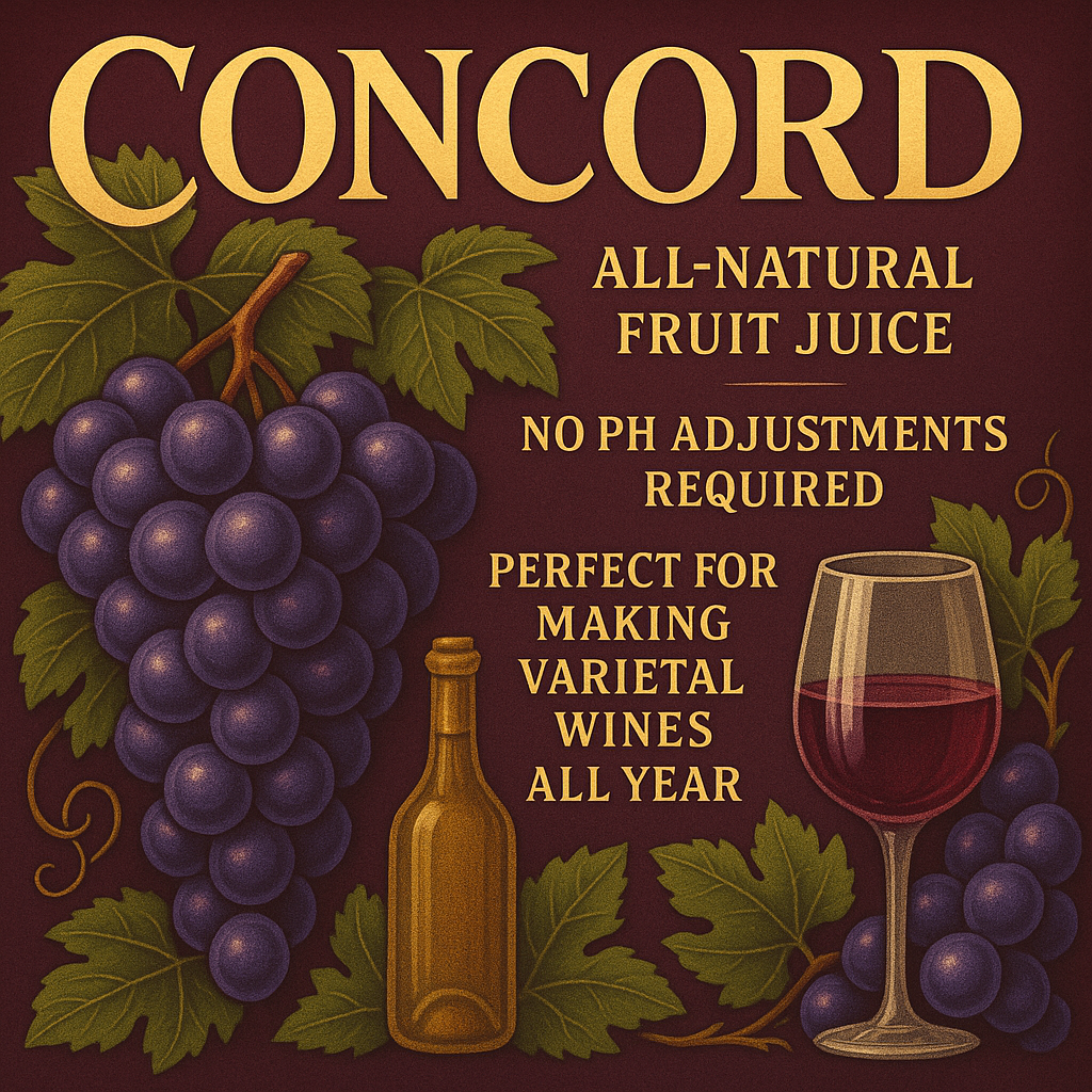 The 10 Best Home Winemaking Kits In 2023 - Foto 7