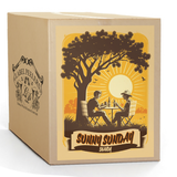 Sunny Sunday Shandy Beer Kit
