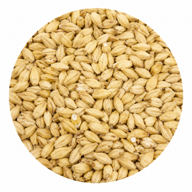 Swaen Pilsner Malt 55 lb Crushed