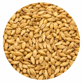 Swaen Ale Malt 55 lb Crushed