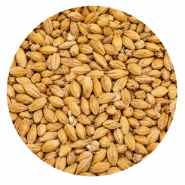 Swaen Munich Light Malt 55 lb Crushed