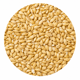 Raven Czech Bohemian Pilsner Malt 55 lb