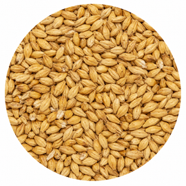 Warminster Pale Ale 3L Malt 55 lb