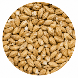 Briess Pilsen Malt 50 lb Crushed