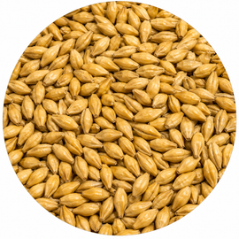 Montana Craft Malt Pale Ale 2.5L 55 lb Crushed
