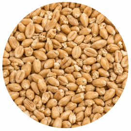 Briess Rye Malt 50 lb