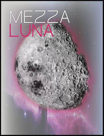 Pack of 30 Mezza Luna Wine Labels Old Style
