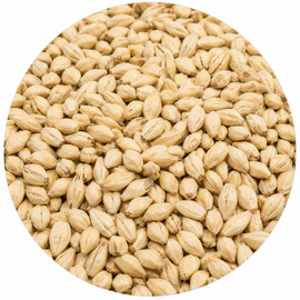 Montana Craft Malt Dextrin Malt 55 lb Crushed