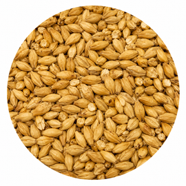Avangard Malz Pale Ale Malt 55 lb Crushed