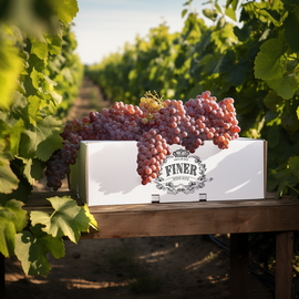 Grenache Rose Wine Kit Winery Series