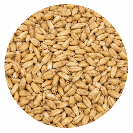 Montana Craft Malt MCM Malted Oats (3L) 55 lb