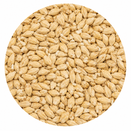Briess Caramel 10L Malt 1 oz