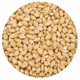 Briess Carapils Malt 1 oz