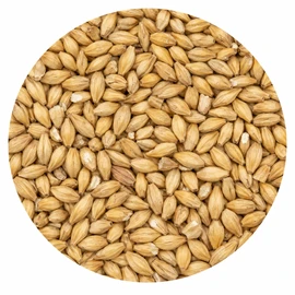 Malteurop Pilsner (1.8L) 55 LB