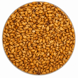 Briess Caramel 120L Malt 50 lb
