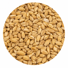 Briess 2-Row Pale Ale Malt 50 lb Crushed