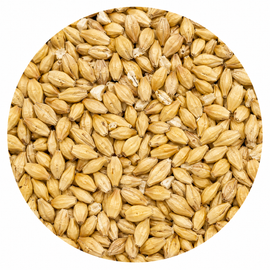 Briess 2-Row Brewers Malt 50 lb Crushed