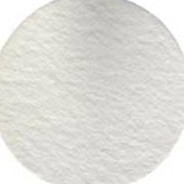 AF2 Filter Pad (Medium) Each