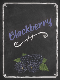 Blackberry Mist Wine Labels 30 ct