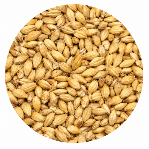 Avangard Malz 2-Row Malt 55 lb Crushed