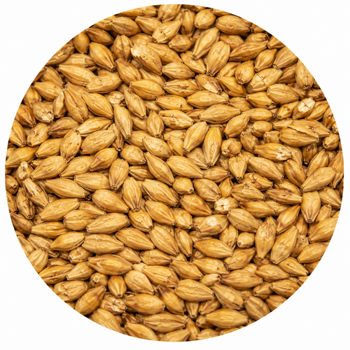Avangard Malz Munich Malt Light 55 lb Crushed